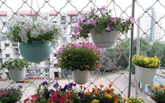 木屑養花的注意事項