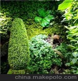 上門(mén)保養花卉上海