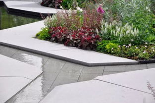 養花好書(shū)推薦