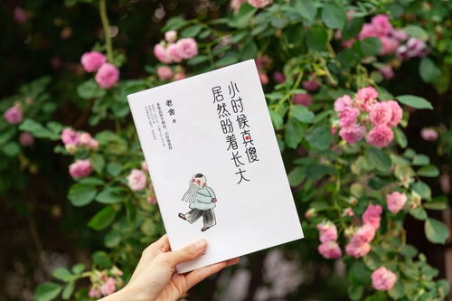 老舍寫(xiě)養花的主要內容是什么