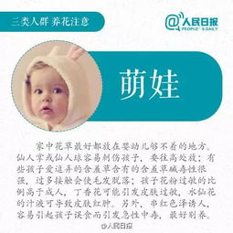 養花的學(xué)問(wèn)得到的啟示