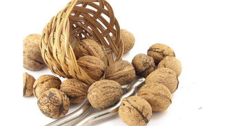 核桃燒成灰可以養花嗎