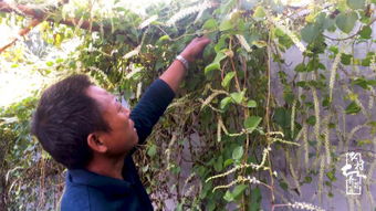 養花一樣養自已