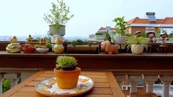 家庭花園常養花卉82種