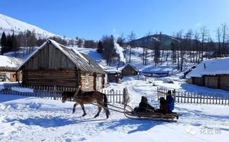 空調房養花干燥嗎