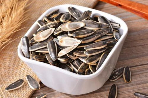 生葵花籽能養花嗎