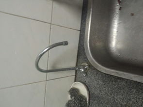 水龍頭的水可以直接養花嗎