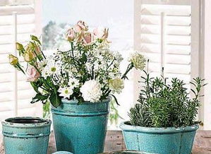 室內養花哪些是避光花