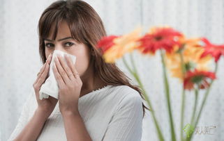 鼻炎可以養花嗎