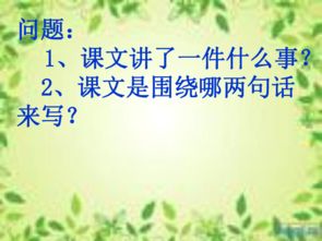 六級上冊語(yǔ)文養花課件