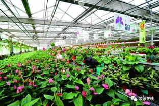 養花溫室的標準