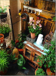 三十層露臺養花