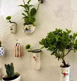 貝貝熊暖寶貼可以養花