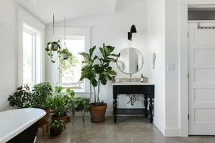 家養花卉植物過(guò)冬竅門(mén)