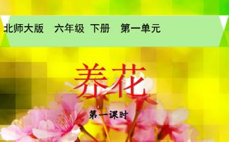 老百曉養花朗讀