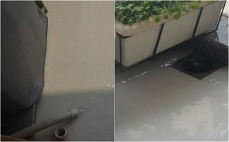 陽(yáng)臺養花自動(dòng)澆水裝置