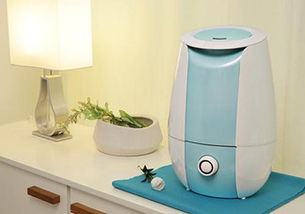 加濕器和養花加濕