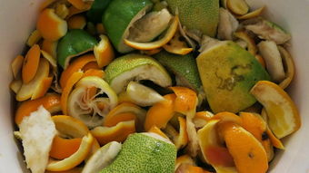 環(huán)保酵素養花可以不用紅糖嗎