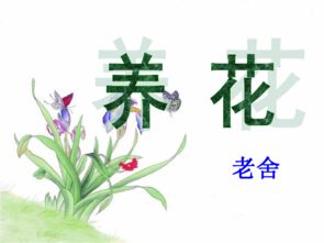 老舍《養花》課件