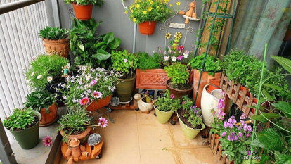 適合養花的陽(yáng)臺