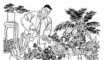 老舍從哪些方面寫(xiě)養花的樂(lè )趣