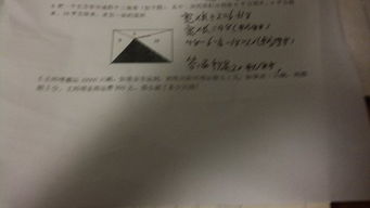 我的愛(ài)好作文600字養花