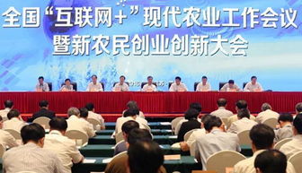 推進(jìn),情況,創(chuàng  )新,創(chuàng  )業(yè)