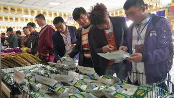 創(chuàng  )業(yè)精神,創(chuàng  )新,孵化園