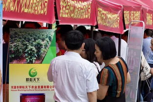 作文,精準,扶貧,素材