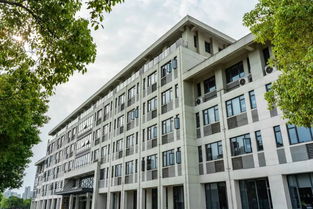 農業(yè)大學(xué),華中,創(chuàng  )業(yè)項目,創(chuàng  )新