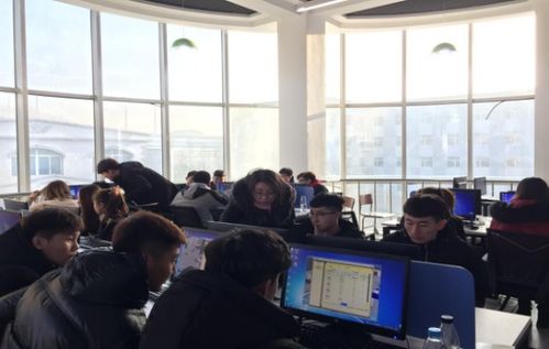 實(shí)訓,心得,模擬,創(chuàng  )新