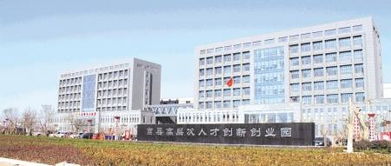莒縣高層次創(chuàng  )新創(chuàng  )業(yè)園國家小微企業(yè)示范基地