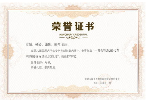 蕪湖市大學(xué)生專(zhuān)利創(chuàng  )新創(chuàng  )業(yè)大賽