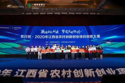 江西省,創(chuàng  )意,大賽,農村