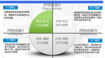 創(chuàng  )新創(chuàng  )業(yè)項目swot報告