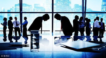 創(chuàng  )新,創(chuàng  )業(yè),企業(yè)