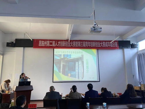 恩施,創(chuàng  )新,創(chuàng  )業(yè),學(xué)院