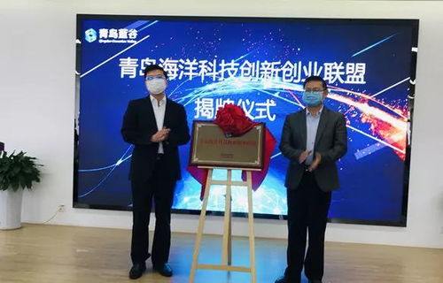 組建,創(chuàng )新,創(chuàng )業(yè),方案