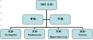 分析報告,創(chuàng  )業(yè)項目,創(chuàng  )新,swot