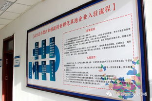 孵化,創(chuàng  )新,創(chuàng  )業(yè),小微