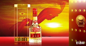 五糧液創(chuàng  )新創(chuàng  )業(yè)獎