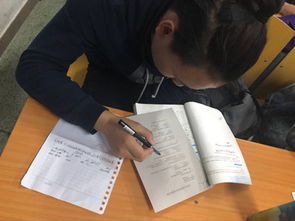 創(chuàng  )新,調查,創(chuàng  )業(yè),大學(xué)生