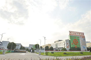 奉化溪口創(chuàng  )新創(chuàng  )業(yè)園項目