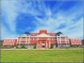 大學(xué)生創(chuàng  )新創(chuàng  )業(yè)企業(yè)概況