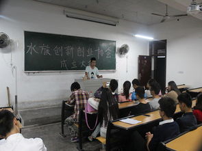 為什么競選創(chuàng )新創(chuàng )業(yè)協(xié)會(huì )