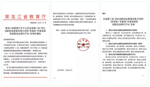 大學(xué)創(chuàng  )新創(chuàng  )業(yè)孵化平臺章程