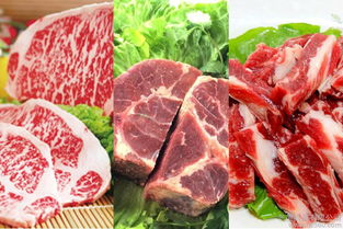 錫盟牛羊肉生產(chǎn)廠(chǎng)家,錫盟牛羊肉專(zhuān)賣(mài)店,錫盟牛羊肉介紹