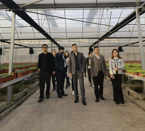 武漢創(chuàng )新創(chuàng )業(yè)學(xué)院,武漢創(chuàng )新創(chuàng )業(yè)政策,中國地質(zhì)大學(xué)武漢創(chuàng )新創(chuàng )業(yè)