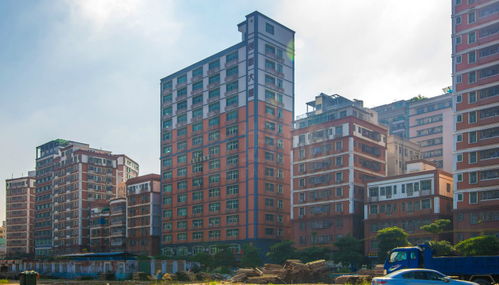 龍華創(chuàng  )業(yè)花園創(chuàng  )新大廈租金