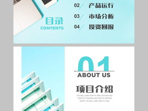 計劃書(shū),融資,模板,創(chuàng  )新